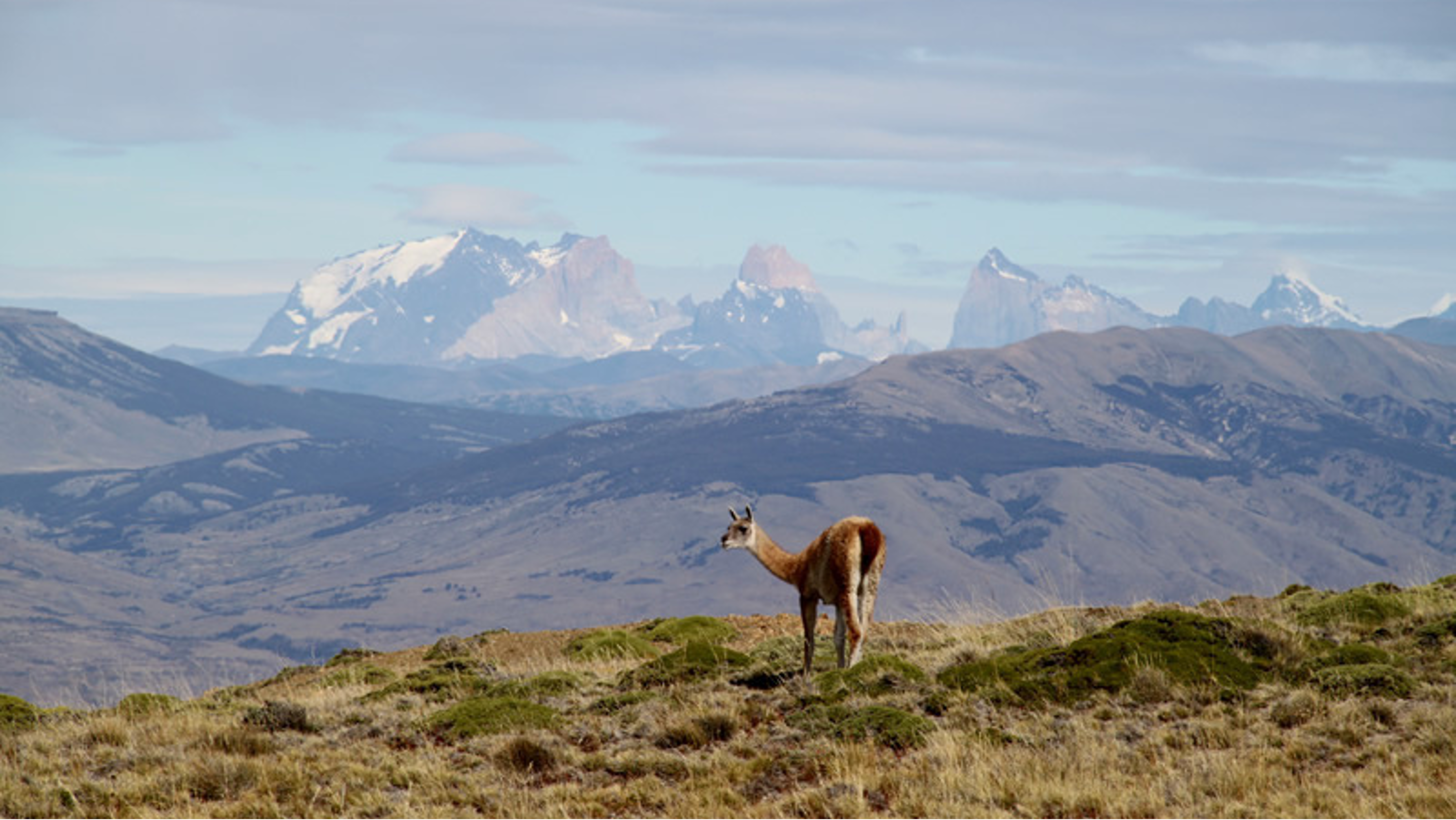 Jour 7 EL CALAFATE